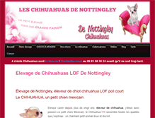 Tablet Screenshot of denottingley.com